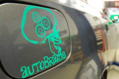 autobrains-gas-door-green
